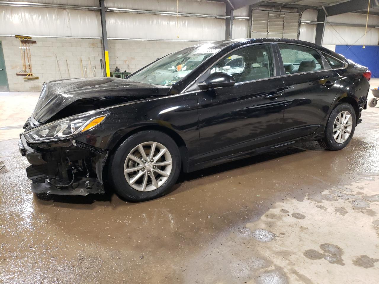 HYUNDAI SONATA 2019 5npe24af7kh819636