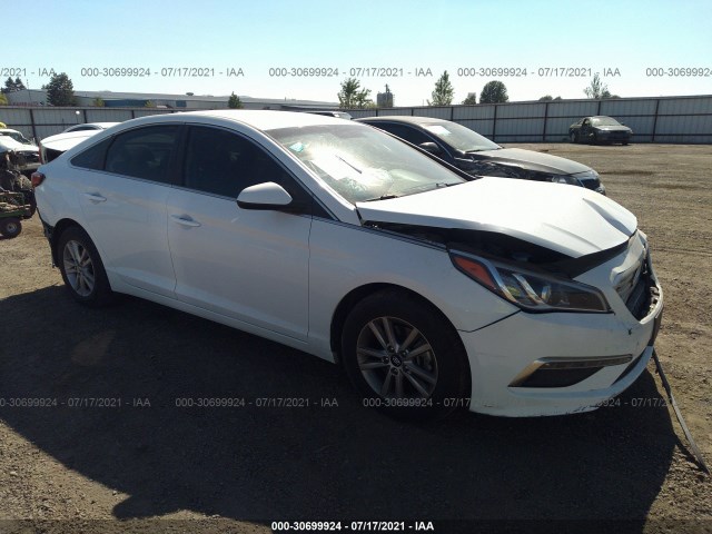 HYUNDAI SONATA 2015 5npe24af8fh002570