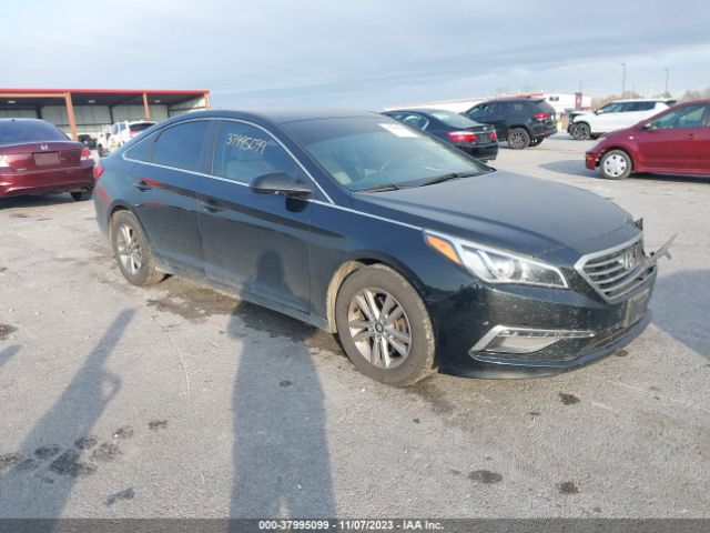 HYUNDAI SONATA 2015 5npe24af8fh003900