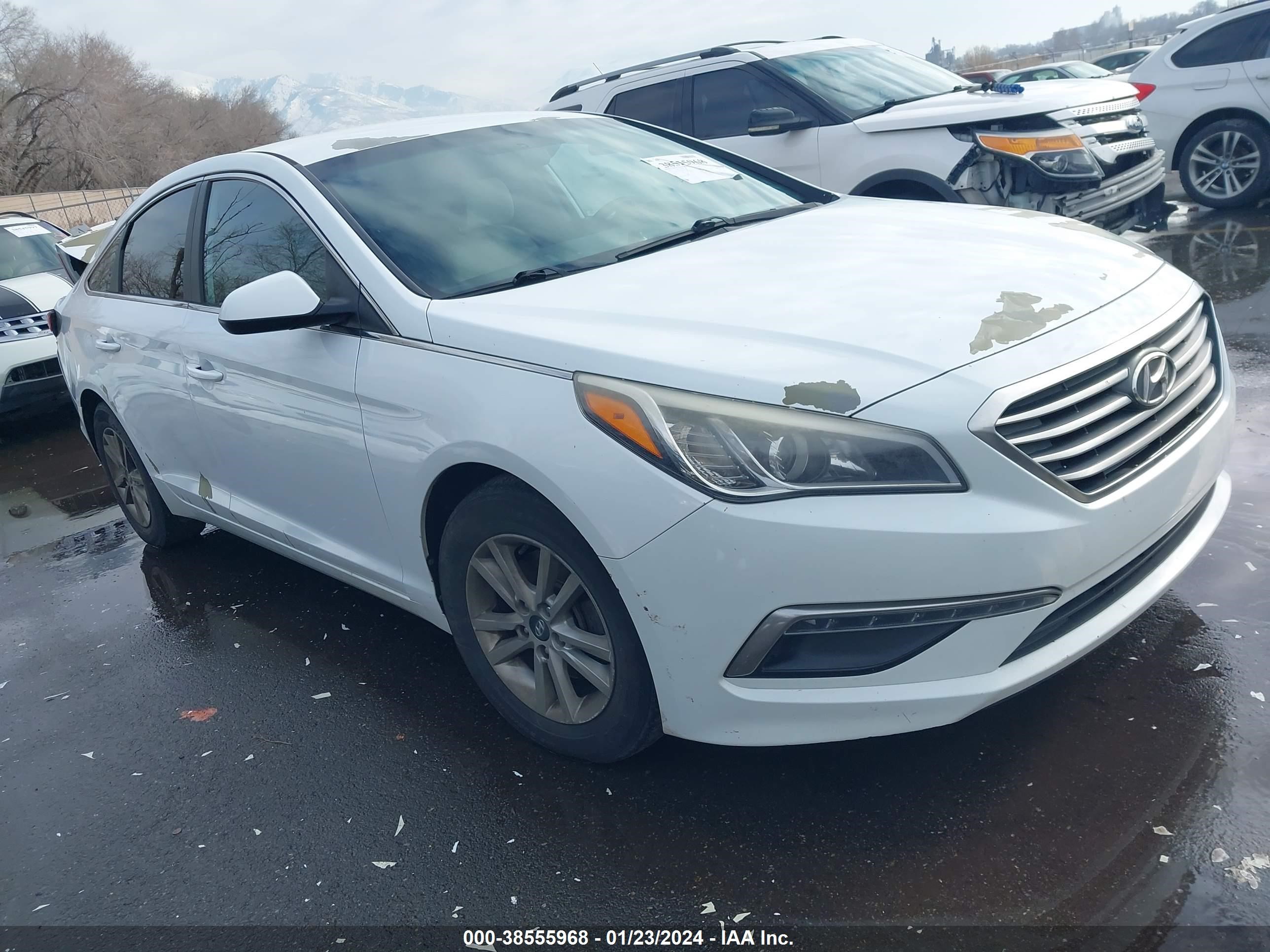 HYUNDAI SONATA 2015 5npe24af8fh006439