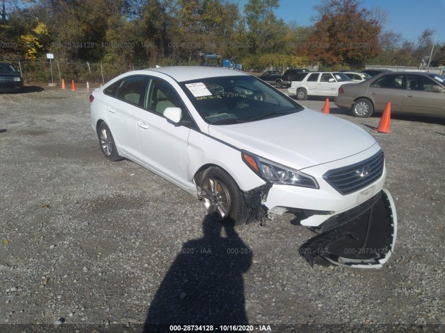 HYUNDAI SONATA 2015 5npe24af8fh007896