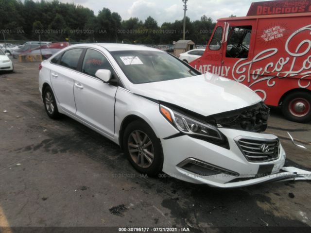 HYUNDAI SONATA 2015 5npe24af8fh009387