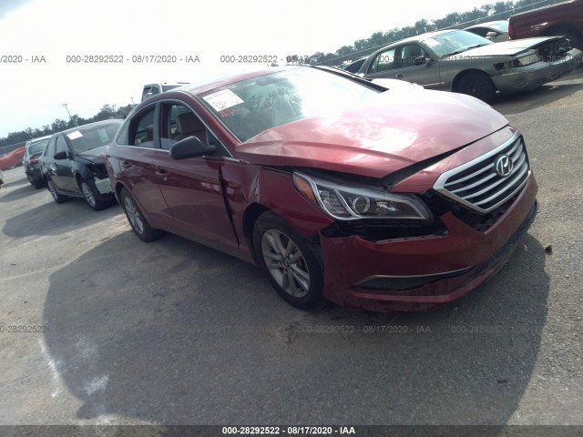 HYUNDAI SONATA 2015 5npe24af8fh017991