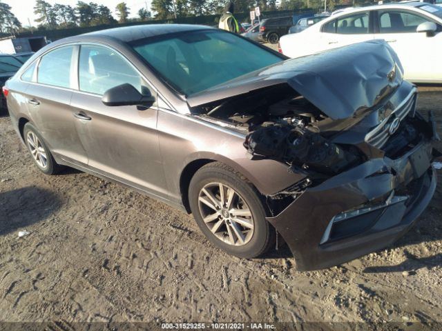 HYUNDAI SONATA 2015 5npe24af8fh036072