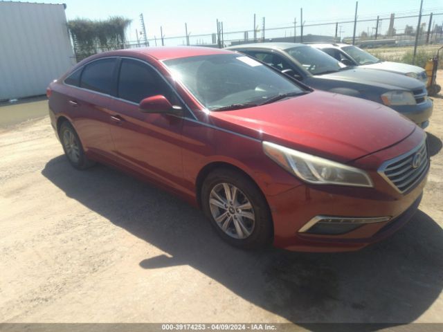 HYUNDAI SONATA 2015 5npe24af8fh048481