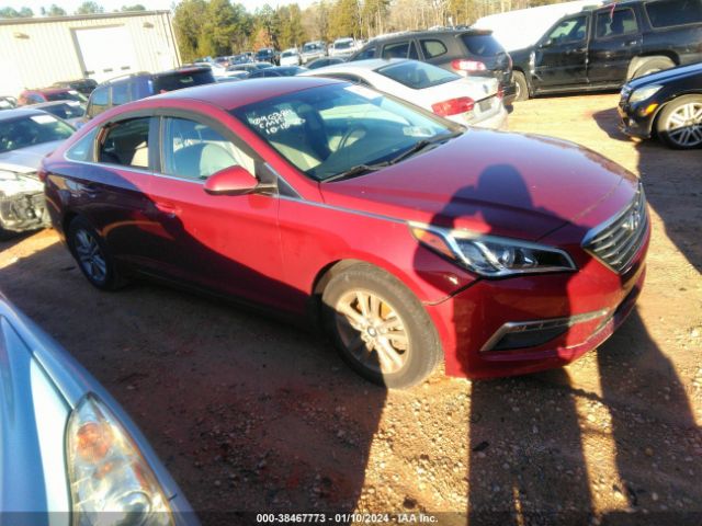 HYUNDAI SONATA 2015 5npe24af8fh096384