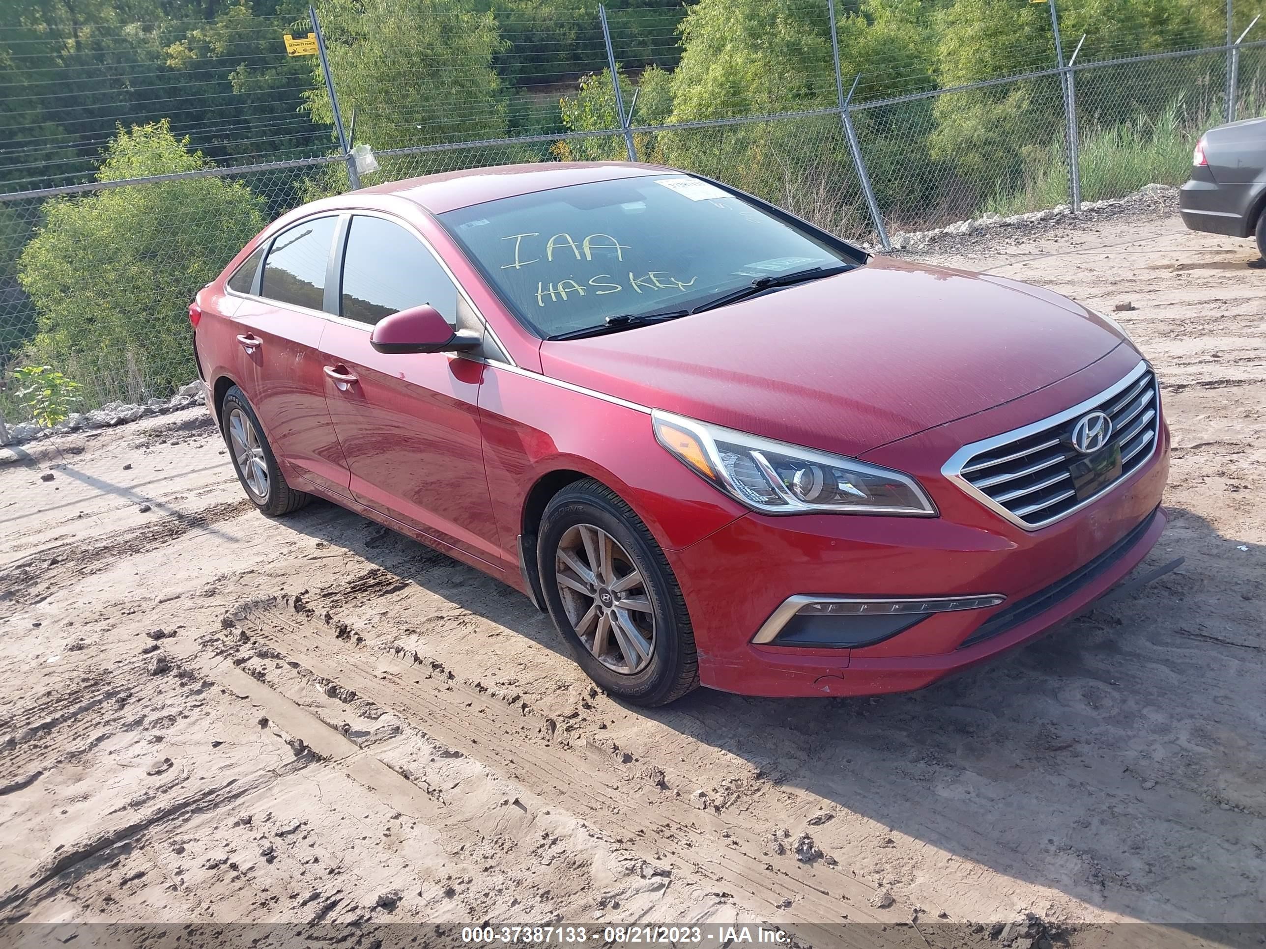 HYUNDAI SONATA 2015 5npe24af8fh141310