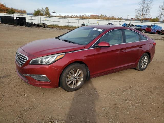 HYUNDAI SONATA 2015 5npe24af8fh163730