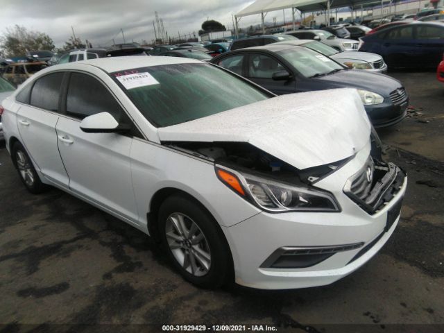 HYUNDAI SONATA 2015 5npe24af8fh164490