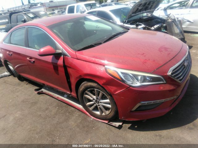 HYUNDAI SONATA 2015 5npe24af8fh173397