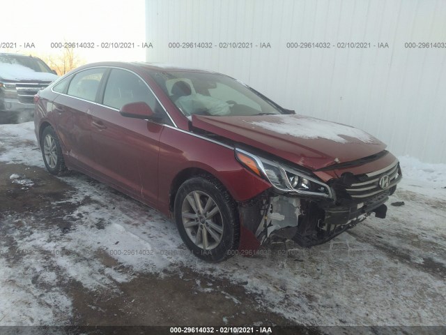 HYUNDAI SONATA 2015 5npe24af8fh184433