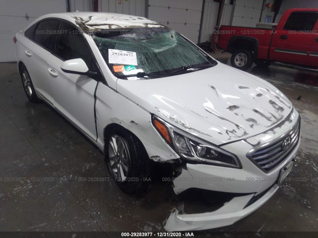 HYUNDAI SONATA 2015 5npe24af8fh201036