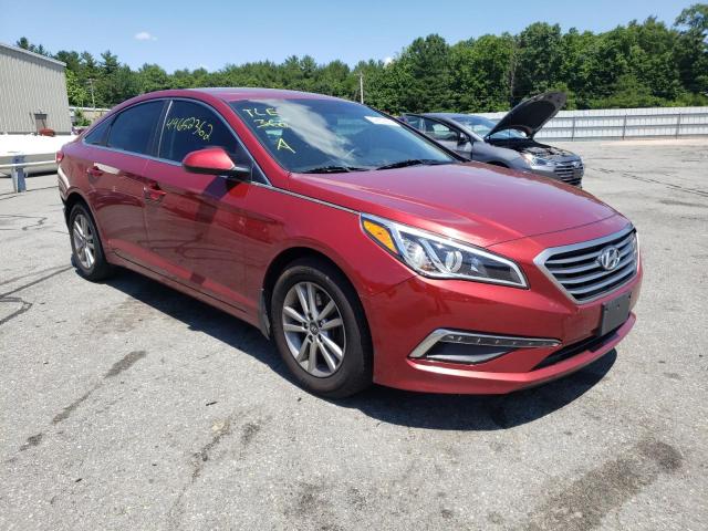 HYUNDAI SONATA 2015 5npe24af8fh202462