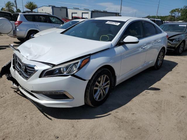 HYUNDAI SONATA 2015 5npe24af8fh205698