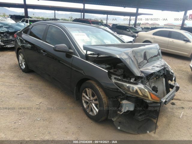 HYUNDAI SONATA 2015 5npe24af8fh206446