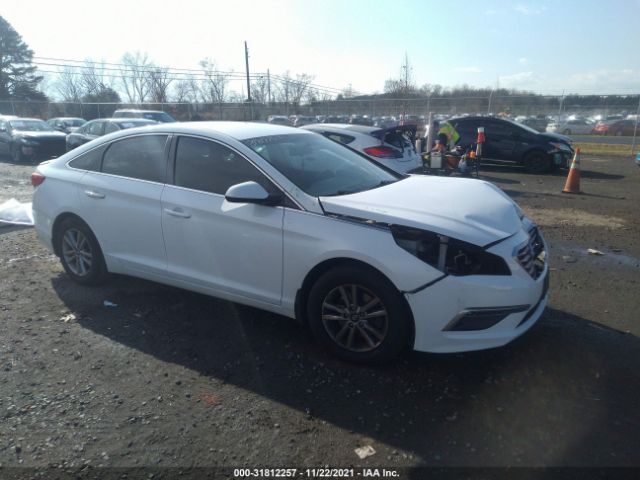 HYUNDAI SONATA 2015 5npe24af8fh207564