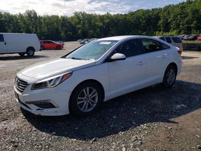 HYUNDAI SONATA SE 2015 5npe24af8fh211145