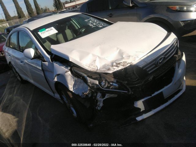 HYUNDAI SONATA 2015 5npe24af8fh218189