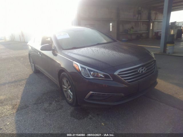 HYUNDAI SONATA 2015 5npe24af8fh229810