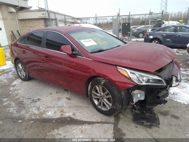 HYUNDAI SONATA 2015 5npe24af8fh233761