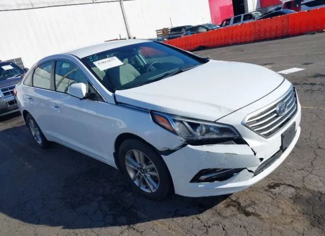 HYUNDAI SONATA 2015 5npe24af8fh244937