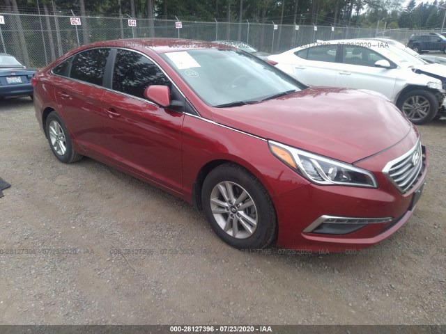 HYUNDAI SONATA 2015 5npe24af8fh245859