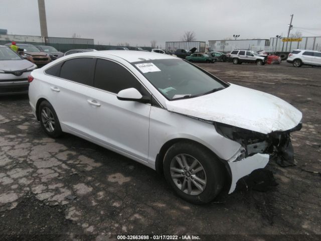 HYUNDAI SONATA 2015 5npe24af8fh246994