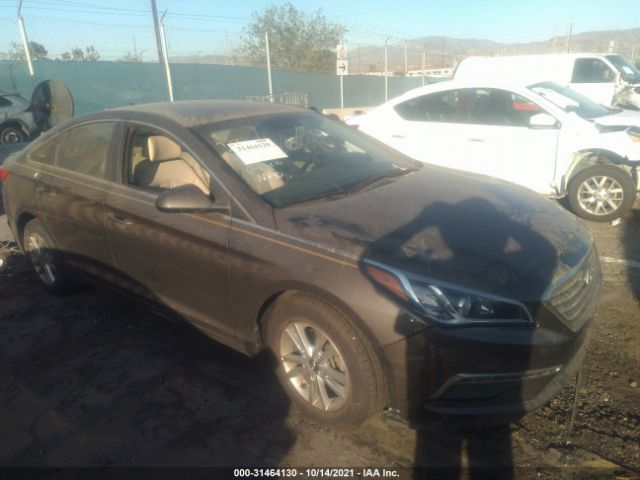 HYUNDAI SONATA 2015 5npe24af8fh258658