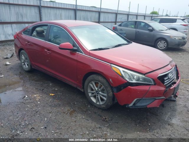 HYUNDAI SONATA 2016 5npe24af8gh262405