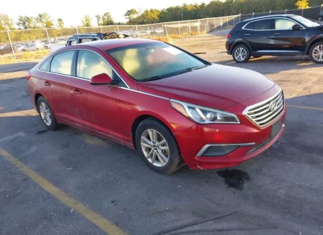 HYUNDAI SONATA 2016 5npe24af8gh269712