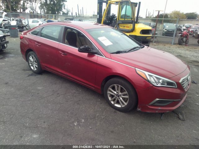 HYUNDAI SONATA 2016 5npe24af8gh278457