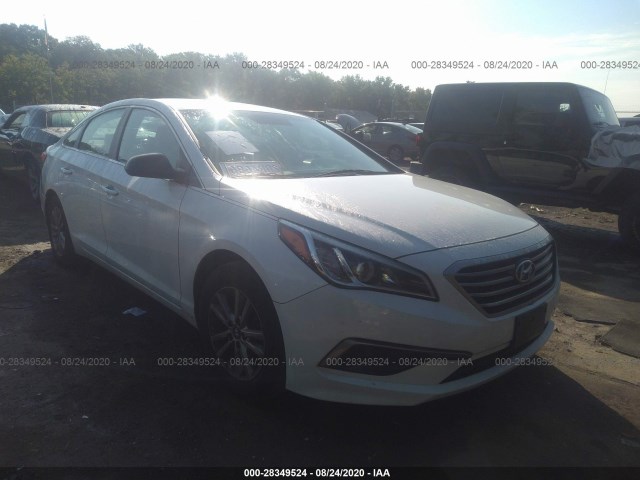 HYUNDAI SONATA 2016 5npe24af8gh281830