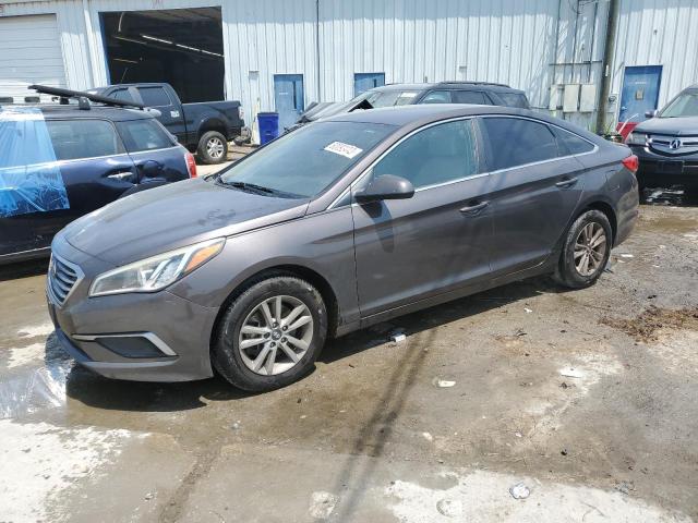 HYUNDAI SONATA 2016 5npe24af8gh284484