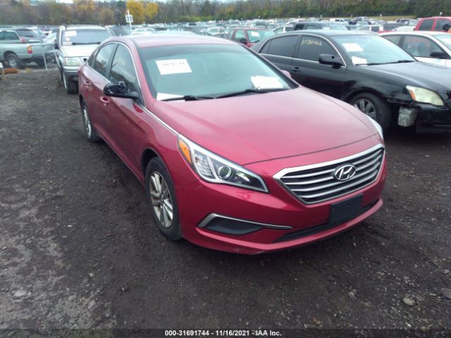 HYUNDAI SONATA 2016 5npe24af8gh287160