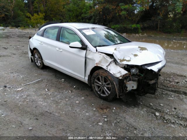 HYUNDAI SONATA 2016 5npe24af8gh287806