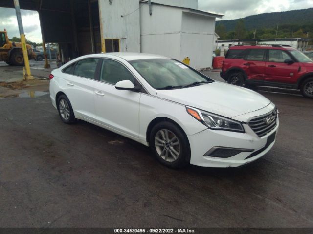 HYUNDAI SONATA 2016 5npe24af8gh294528