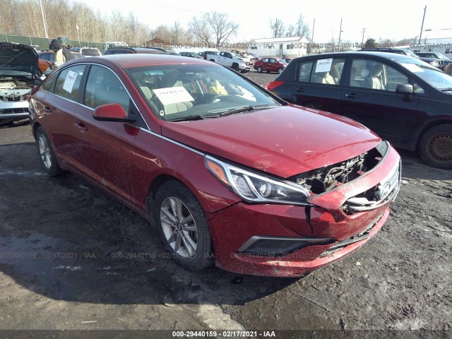 HYUNDAI SONATA 2016 5npe24af8gh296148