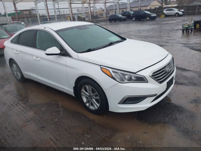 HYUNDAI SONATA 2016 5npe24af8gh298353