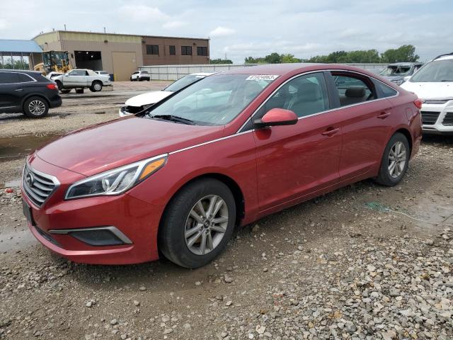 HYUNDAI SONATA SE 2016 5npe24af8gh299955