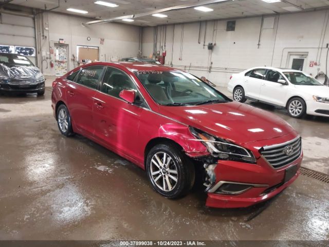 HYUNDAI SONATA 2016 5npe24af8gh303566