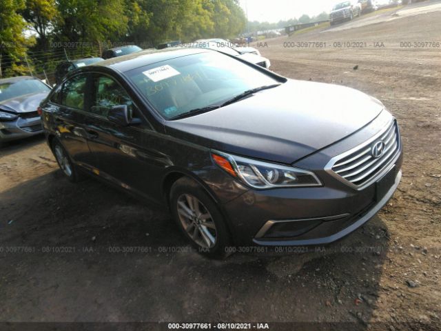 HYUNDAI SONATA 2016 5npe24af8gh305558