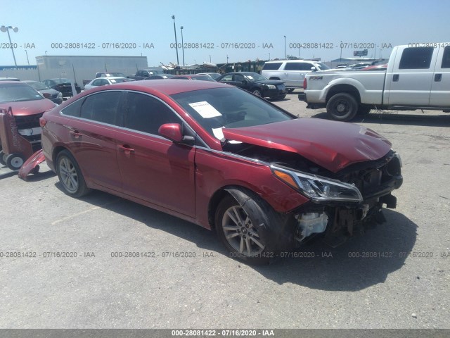 HYUNDAI SONATA 2016 5npe24af8gh306046