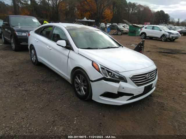 HYUNDAI SONATA 2016 5npe24af8gh306824