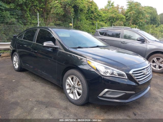 HYUNDAI SONATA 2016 5npe24af8gh311280