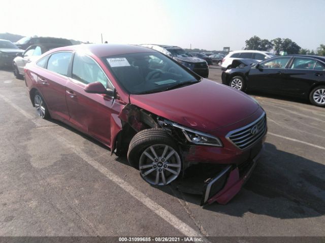 HYUNDAI SONATA 2016 5npe24af8gh313675