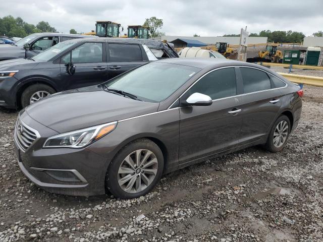 HYUNDAI SONATA SE 2016 5npe24af8gh316348