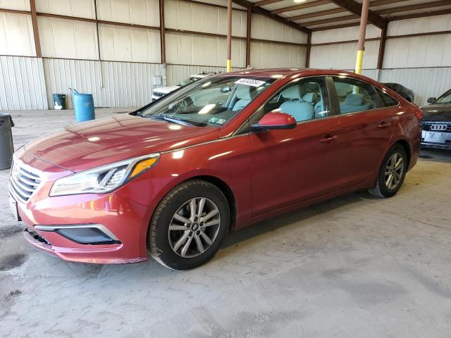 HYUNDAI SONATA 2016 5npe24af8gh316480