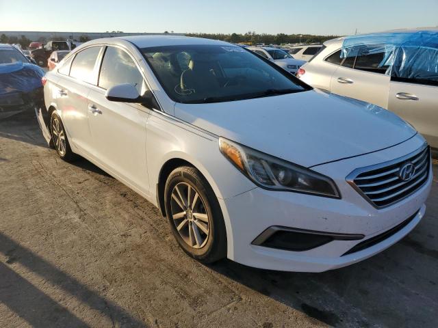 HYUNDAI SONATA SE 2016 5npe24af8gh328421