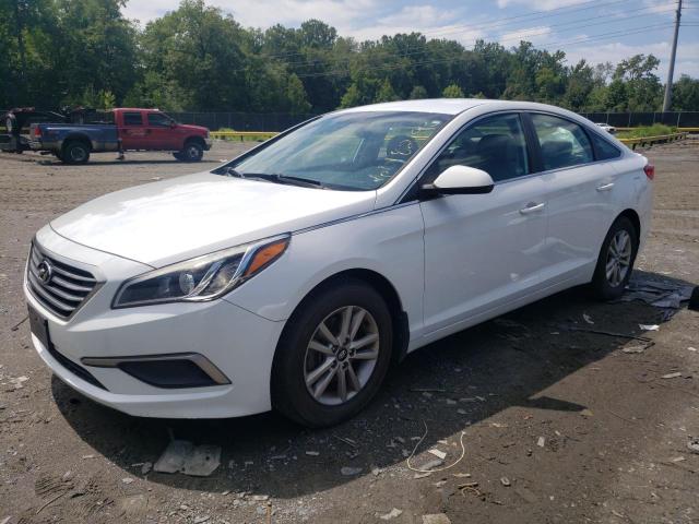 HYUNDAI SONATA SE 2016 5npe24af8gh328743