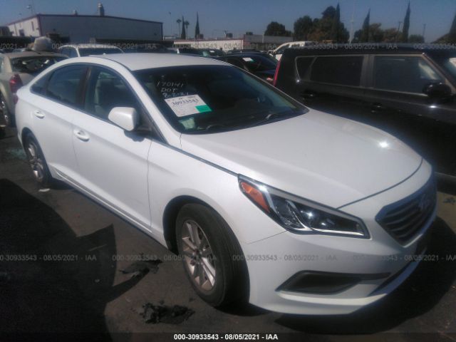 HYUNDAI SONATA 2016 5npe24af8gh334963